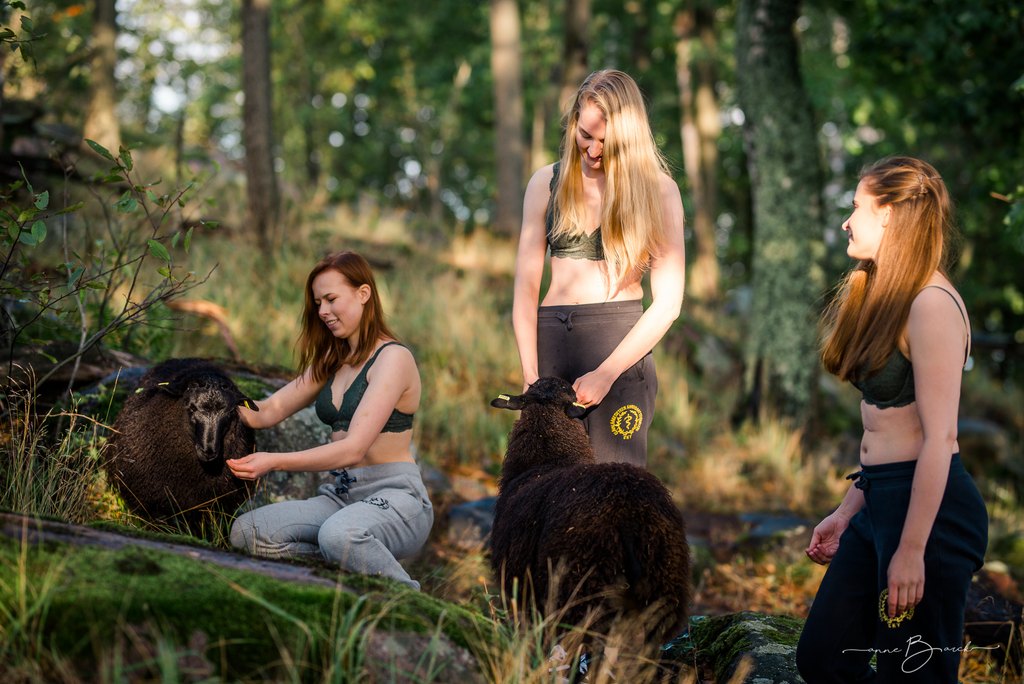 2019_09_16-heinäkuu-5